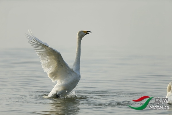 _E8J0868.jpg