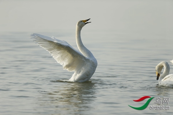 _E8J0863.jpg