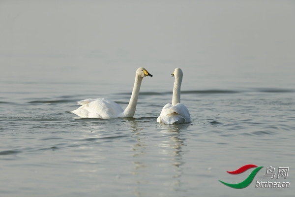 _E8J0873.jpg