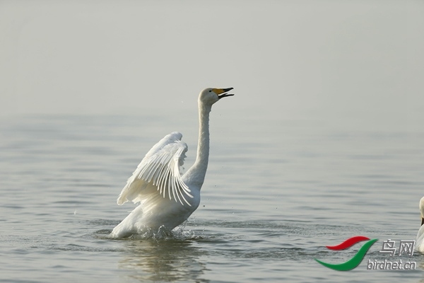 _E8J0870.jpg