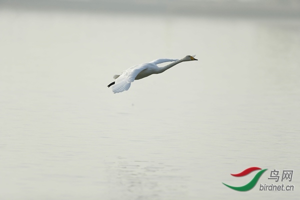 _E8J0890.jpg