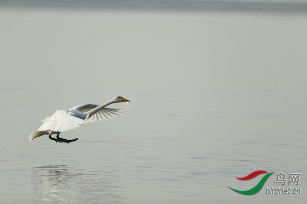 _E8J0895.jpg