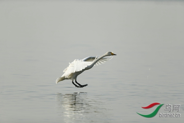 _E8J0898.jpg