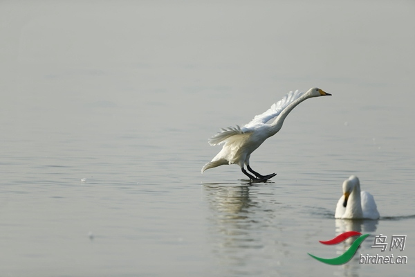 _E8J0900.jpg