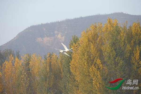 _E8J0310.jpg