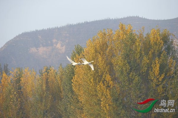 _E8J0312.jpg