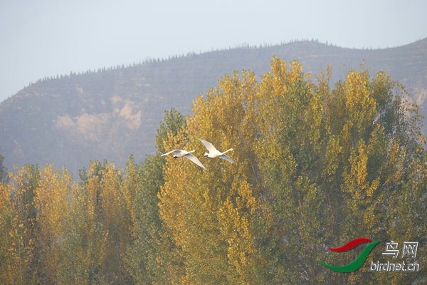 _E8J0313.jpg