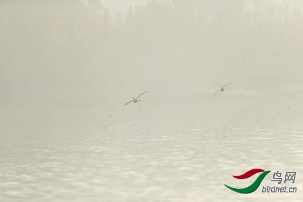 _E8J0611.jpg