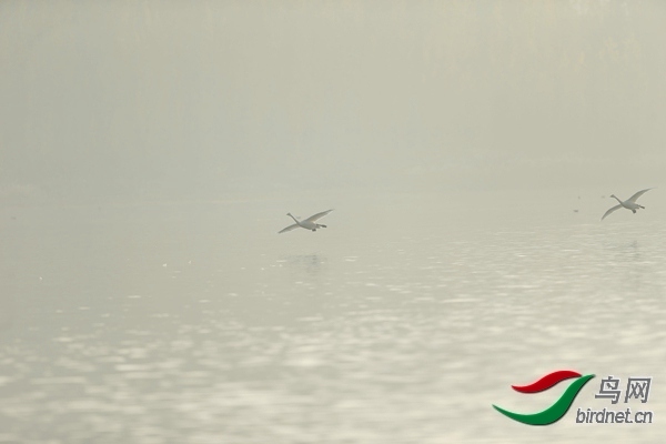 _E8J0616.jpg