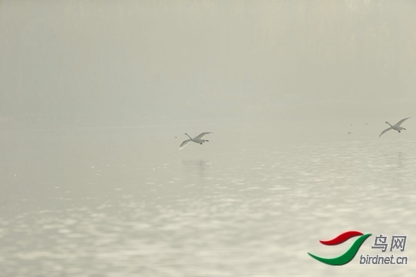 _E8J0615.jpg