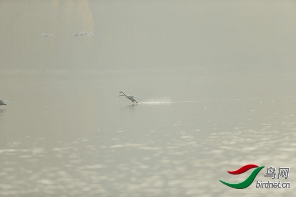_E8J0617.jpg