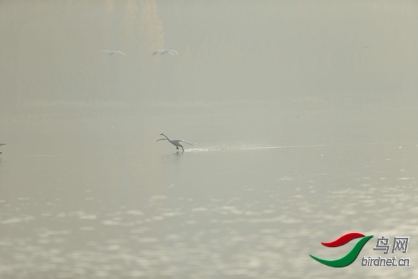 _E8J0619.jpg