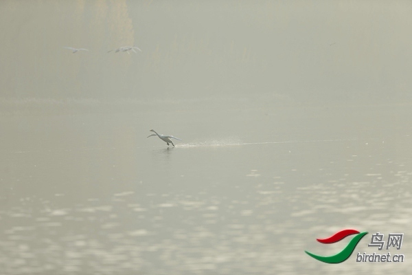 _E8J0618.jpg