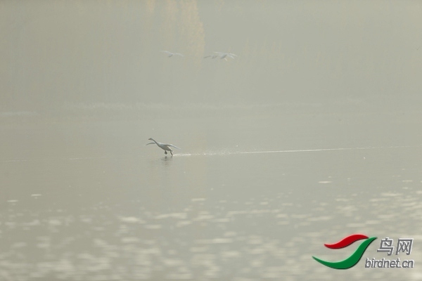 _E8J0620.jpg