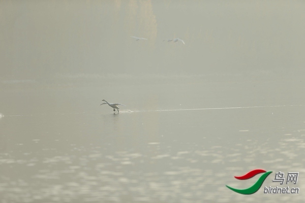 _E8J0621.jpg