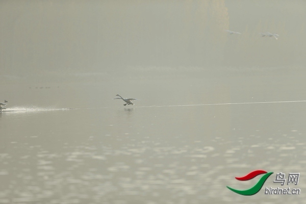_E8J0625.jpg