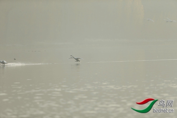 _E8J0626.jpg