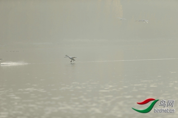 _E8J0624.jpg