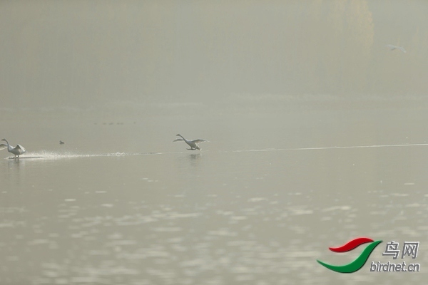 _E8J0627.jpg