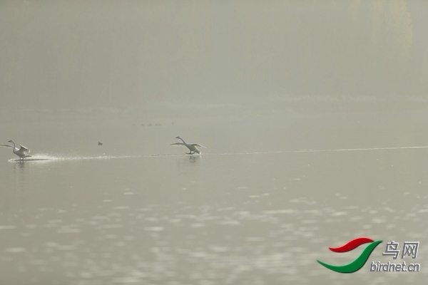 _E8J0629.jpg