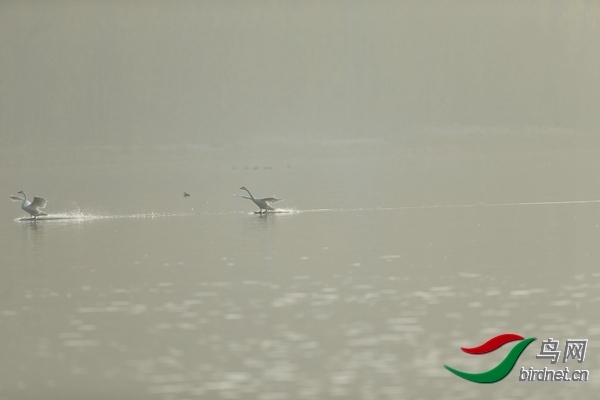 _E8J0631.jpg