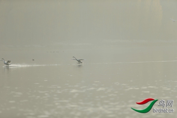 _E8J0628.jpg