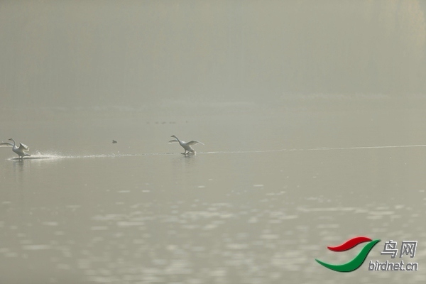 _E8J0630.jpg