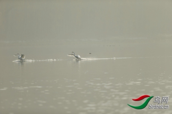 _E8J0632.jpg