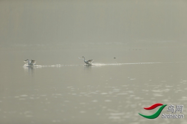 _E8J0634.jpg