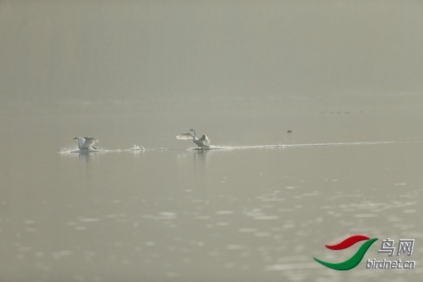 _E8J0636.jpg