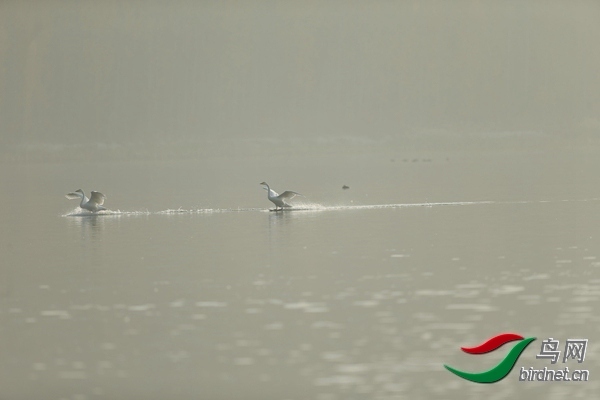 _E8J0633.jpg