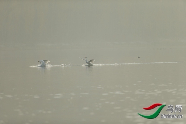 _E8J0638.jpg