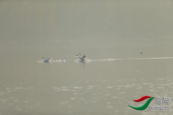 _E8J0641.jpg