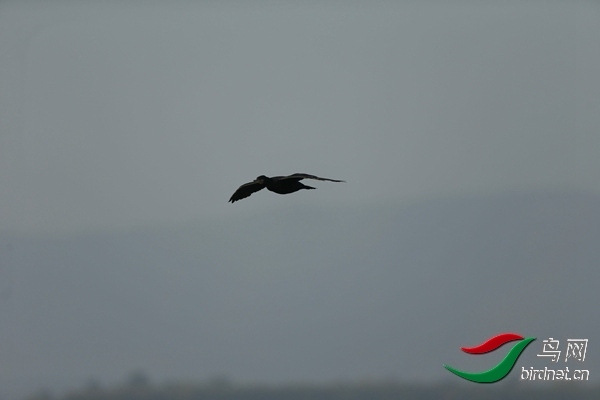 _E8J0642.jpg