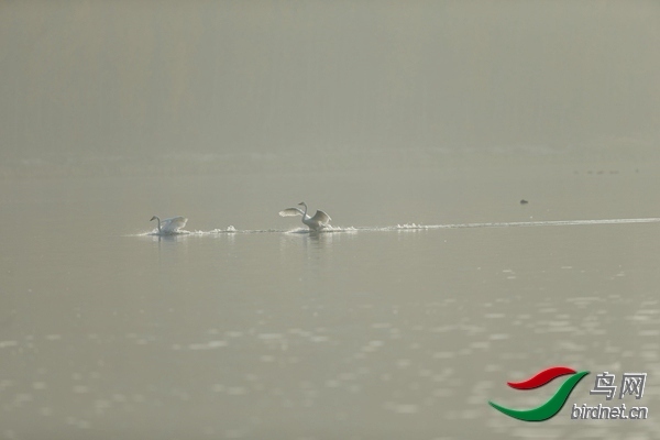 _E8J0640.jpg