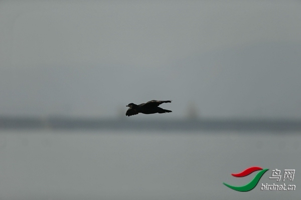 _E8J0646.jpg