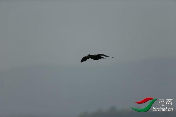 _E8J0644.jpg