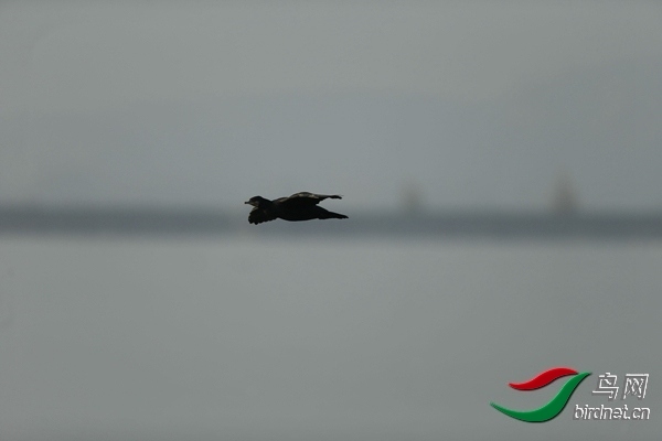 _E8J0647.jpg