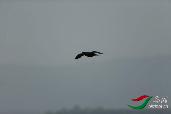 _E8J0643.jpg