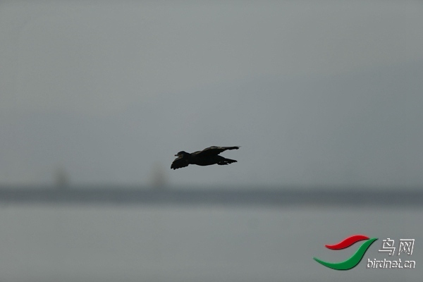 _E8J0645.jpg