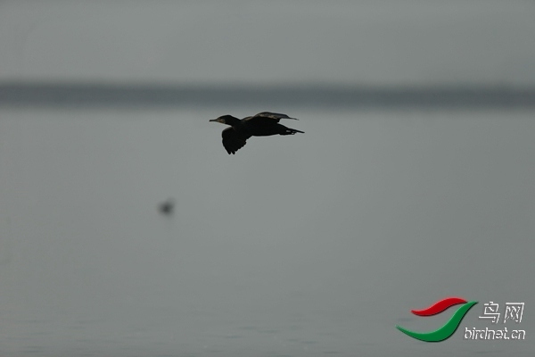 _E8J0650.jpg