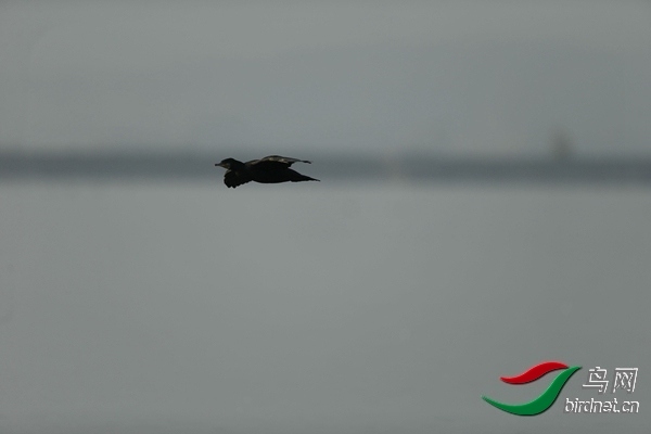 _E8J0648.jpg