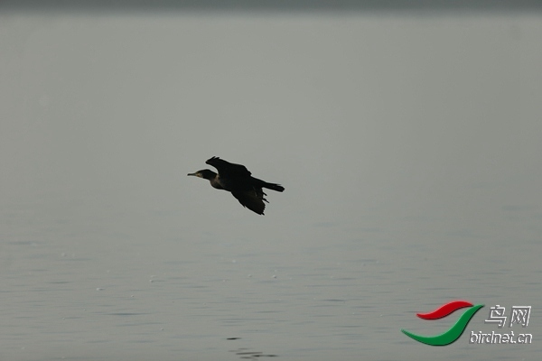 _E8J0653.jpg