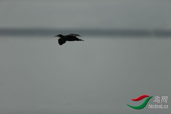_E8J0649.jpg