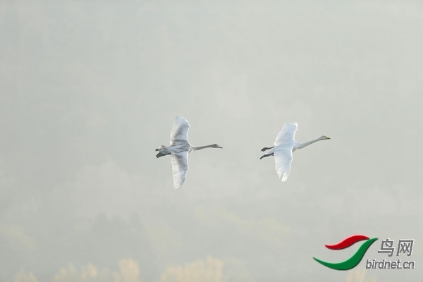 _E8J0815.jpg