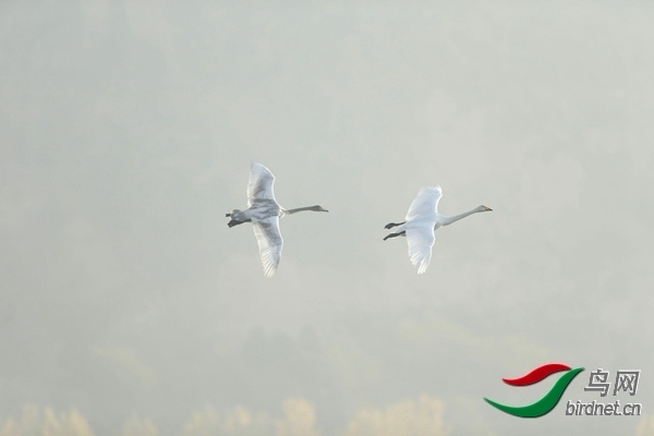 _E8J0814.jpg