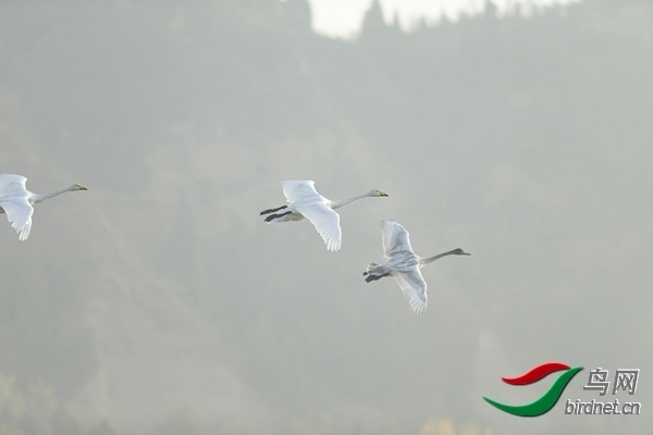 _E8J0810.jpg