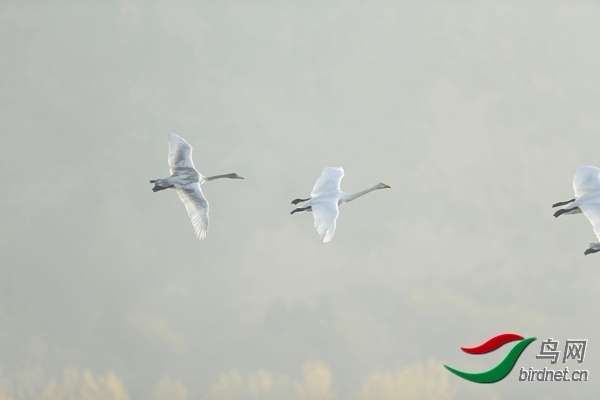 _E8J0813.jpg