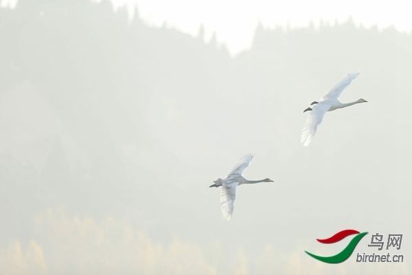 _E8J0820.jpg