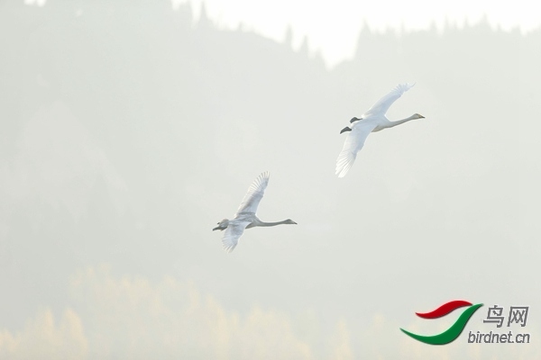 _E8J0819.jpg